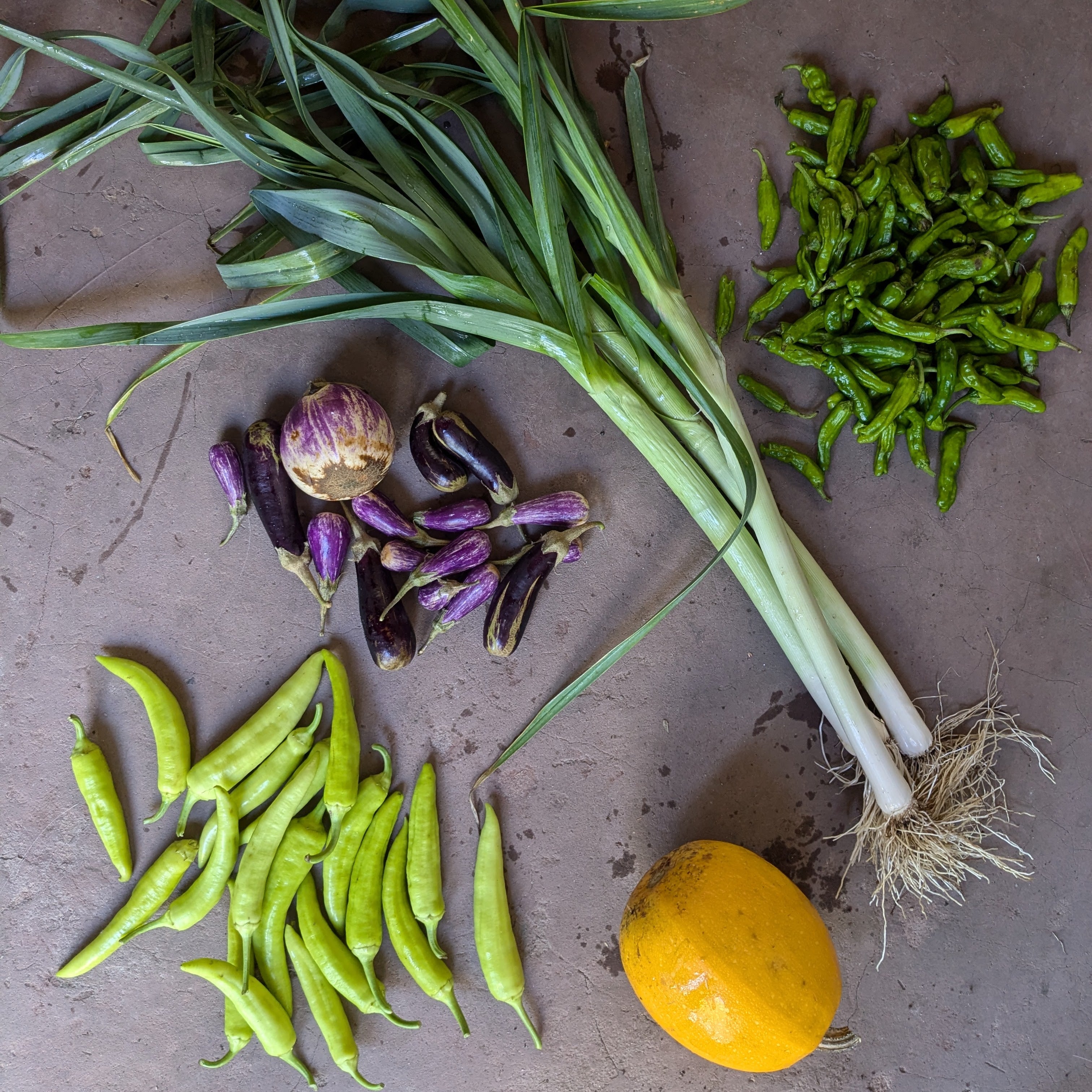 Meuse Farm Half Veg Box 23 April 2025