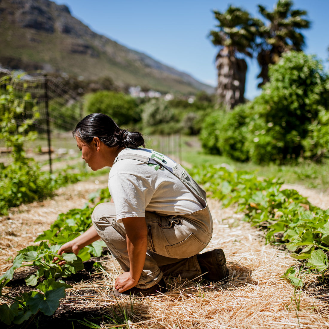 Open Day farm tour with Iming | 29 Nov | 12:00 - 12:30