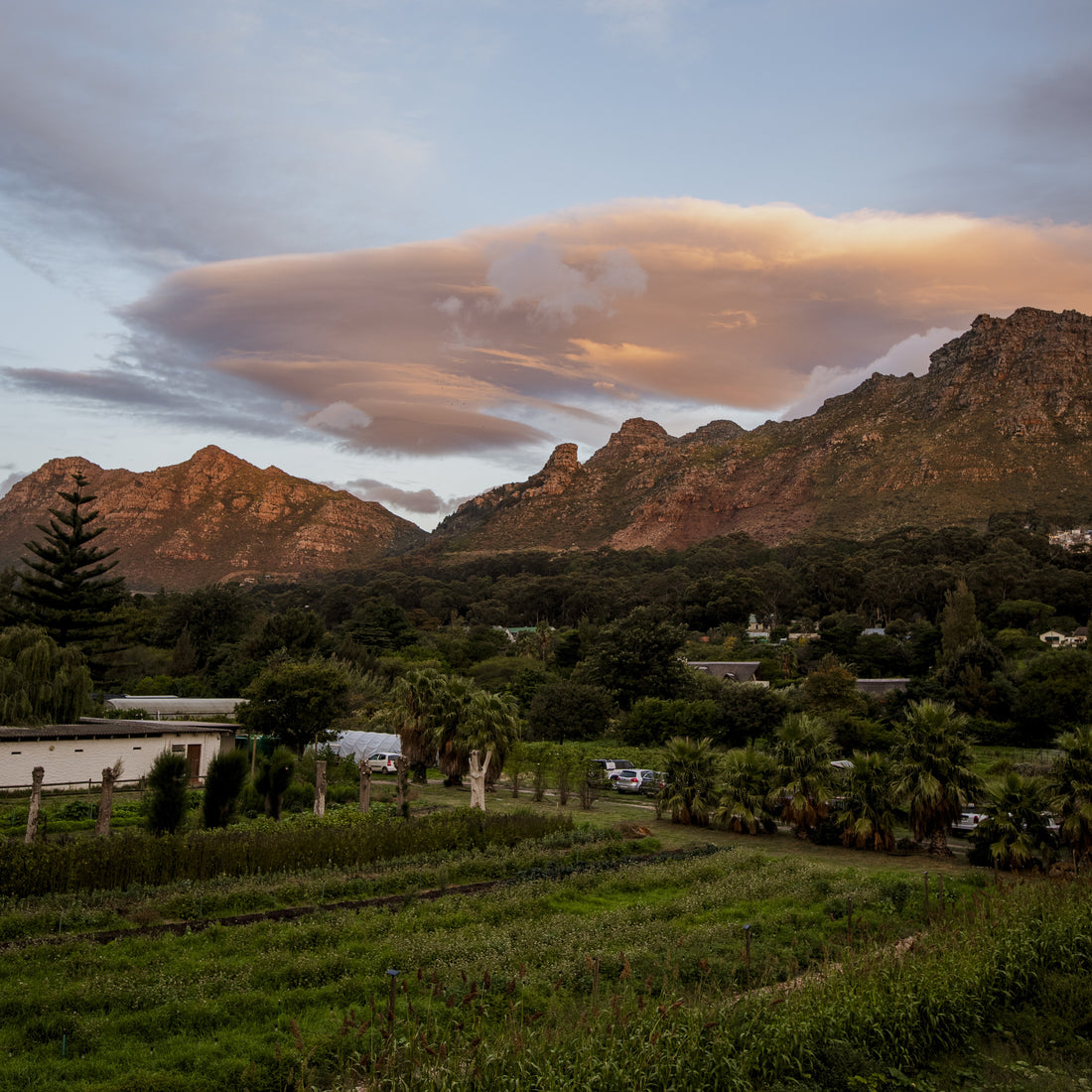 Meuse Farm Gather Dinner | Wednesday, 16 September