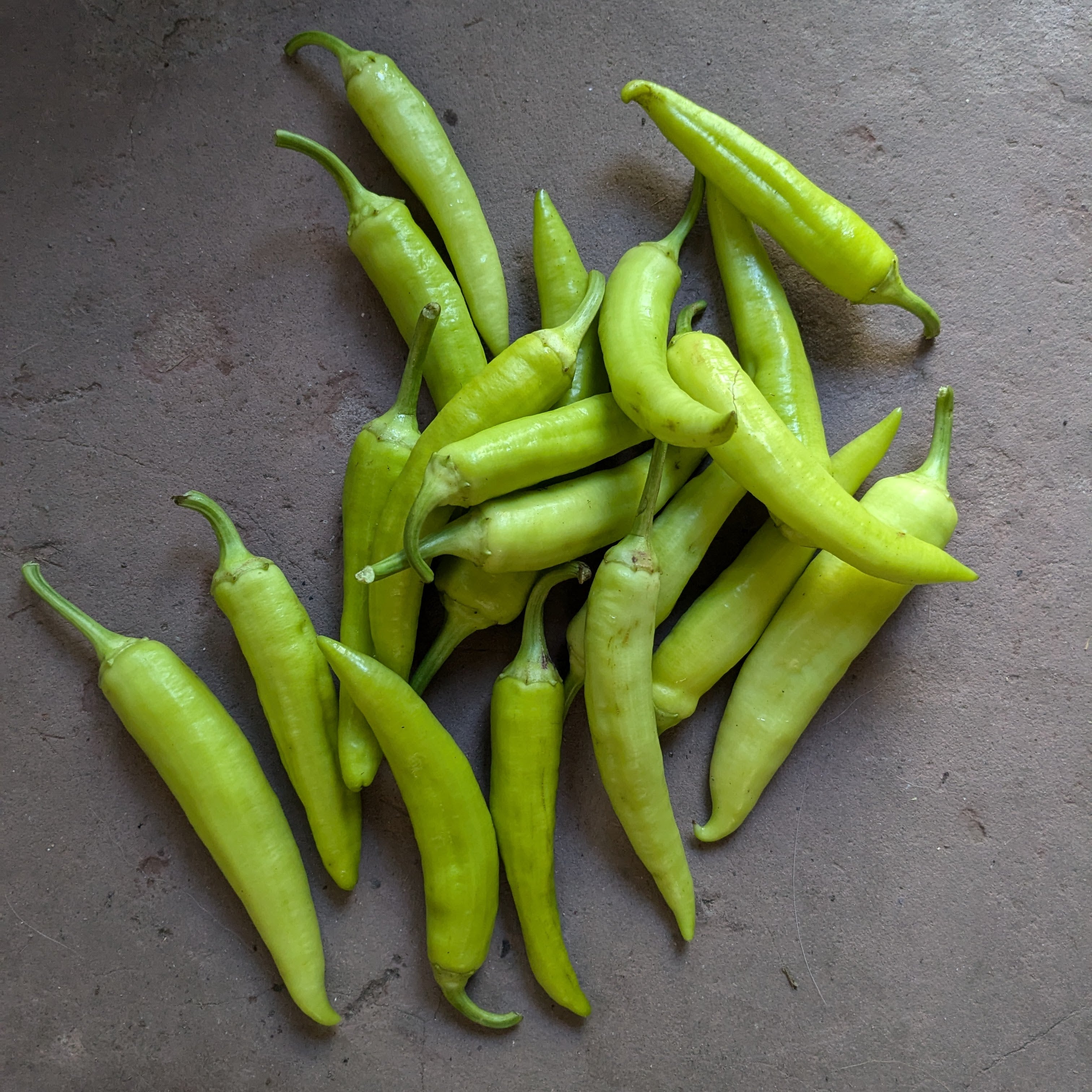 Goddess peppers 300g