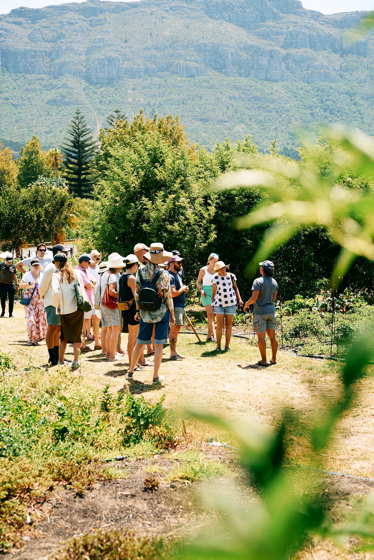 Open Day Farm Tour with Meuse Head Chef Caidi | 17 October | 11 - 12