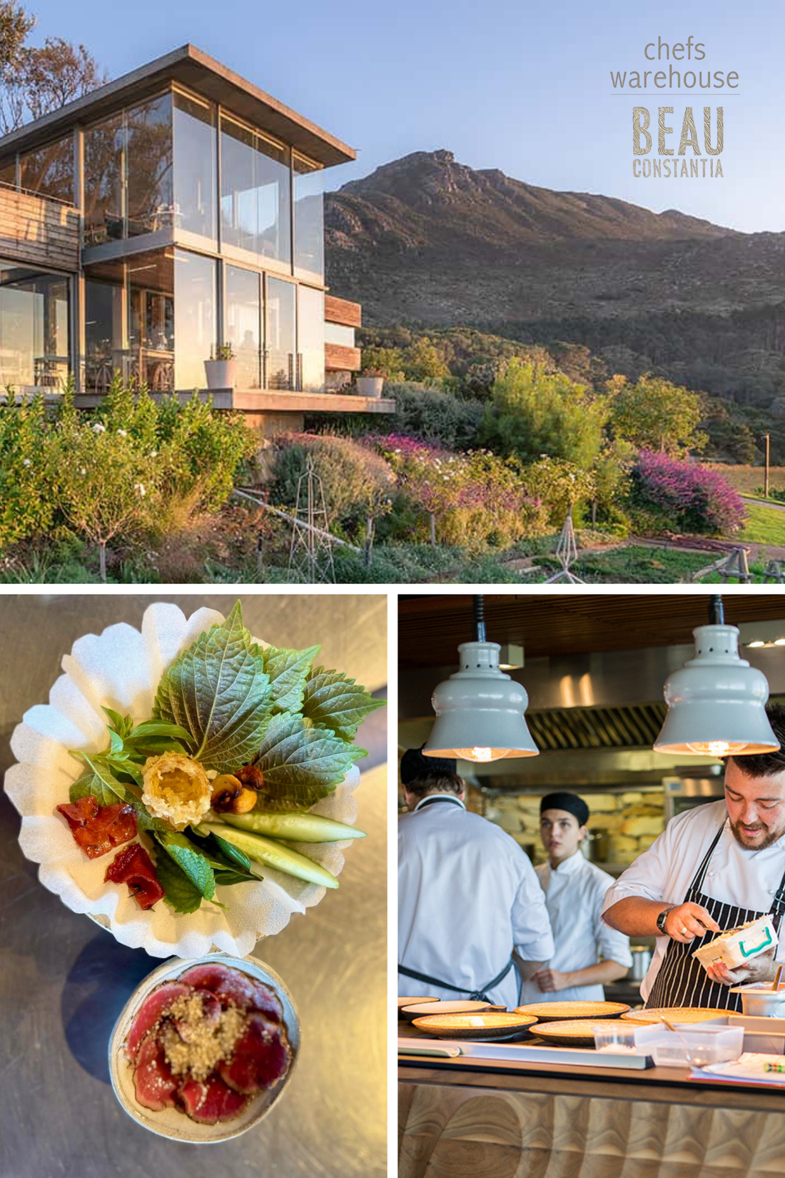 Open Day Cooking Demo with Chefs Warehouse at Beau Constantia | 31 January | 10:15-11:30am