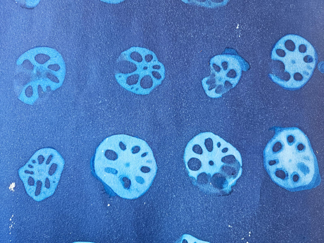 Open Day cyanotype workshop | Zayaan Khan | 29 Nov | 12:30-2:00