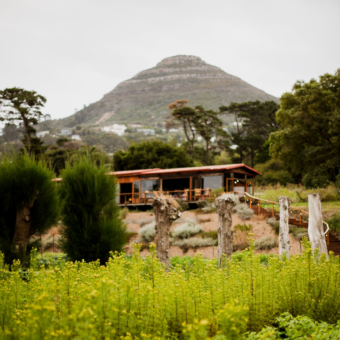 Meuse Farm Winter Lunch | Saturday, 13 June | 12:30 - 3:30pm