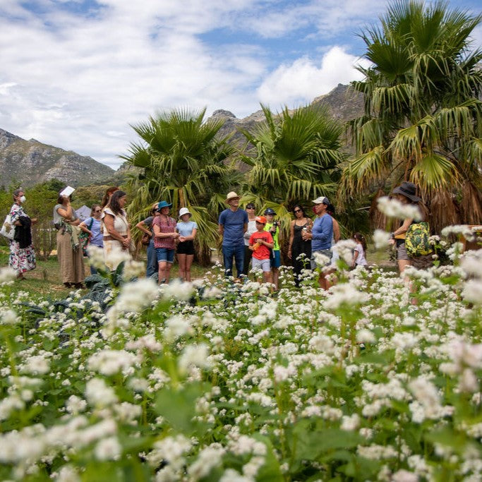 Meuse Farm Open Day