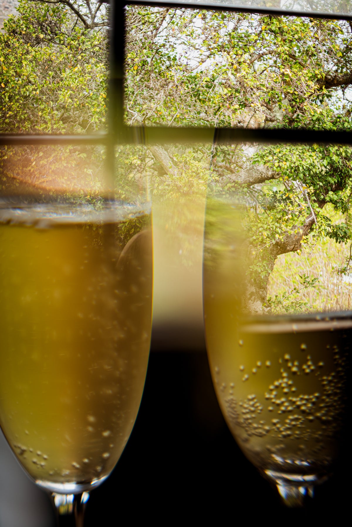Open Day Wine Tasting | 17 October | 11:30am-2pm