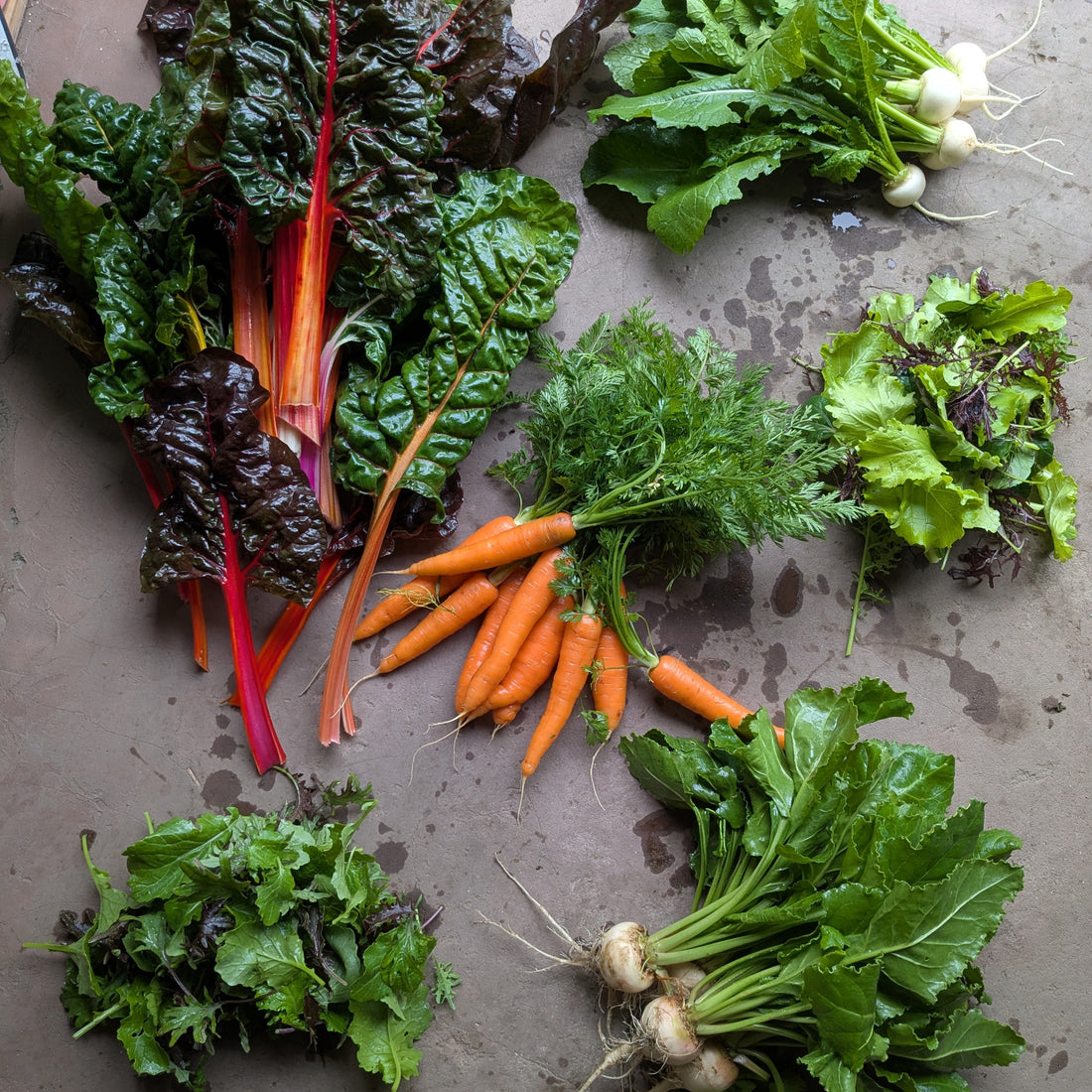 Meuse Farm Veg Box 1 Oct 2025