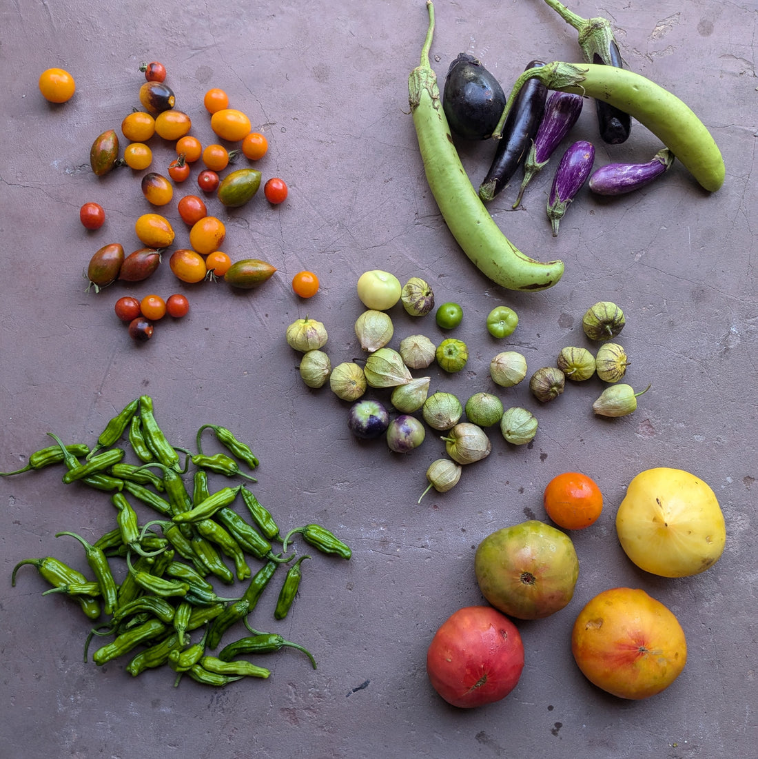 Meuse Farm Veg Box 26 Feb 2025