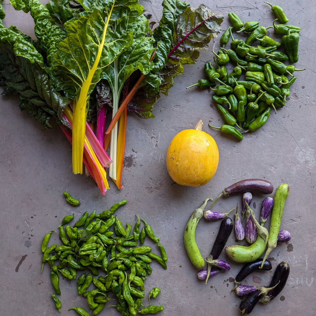 Meuse Farm Veg Box 30 April 2025