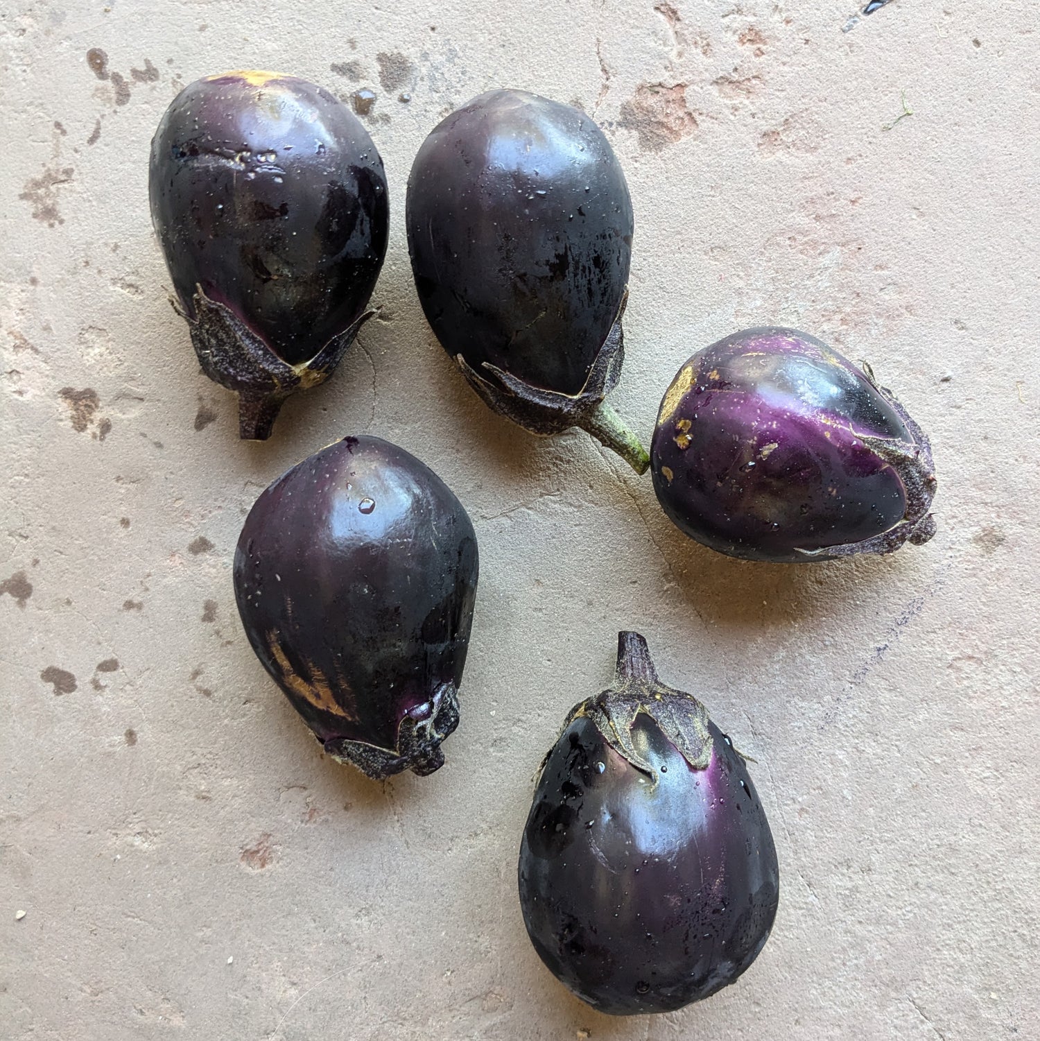 E-Tender Eggplant 400g