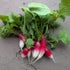 French Breakfast radish (80g)
