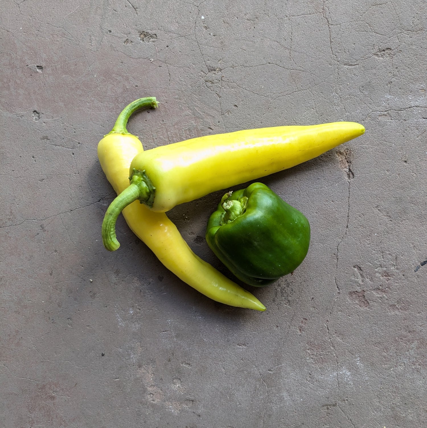 Goddess and Yolo Wonder peppers 300g