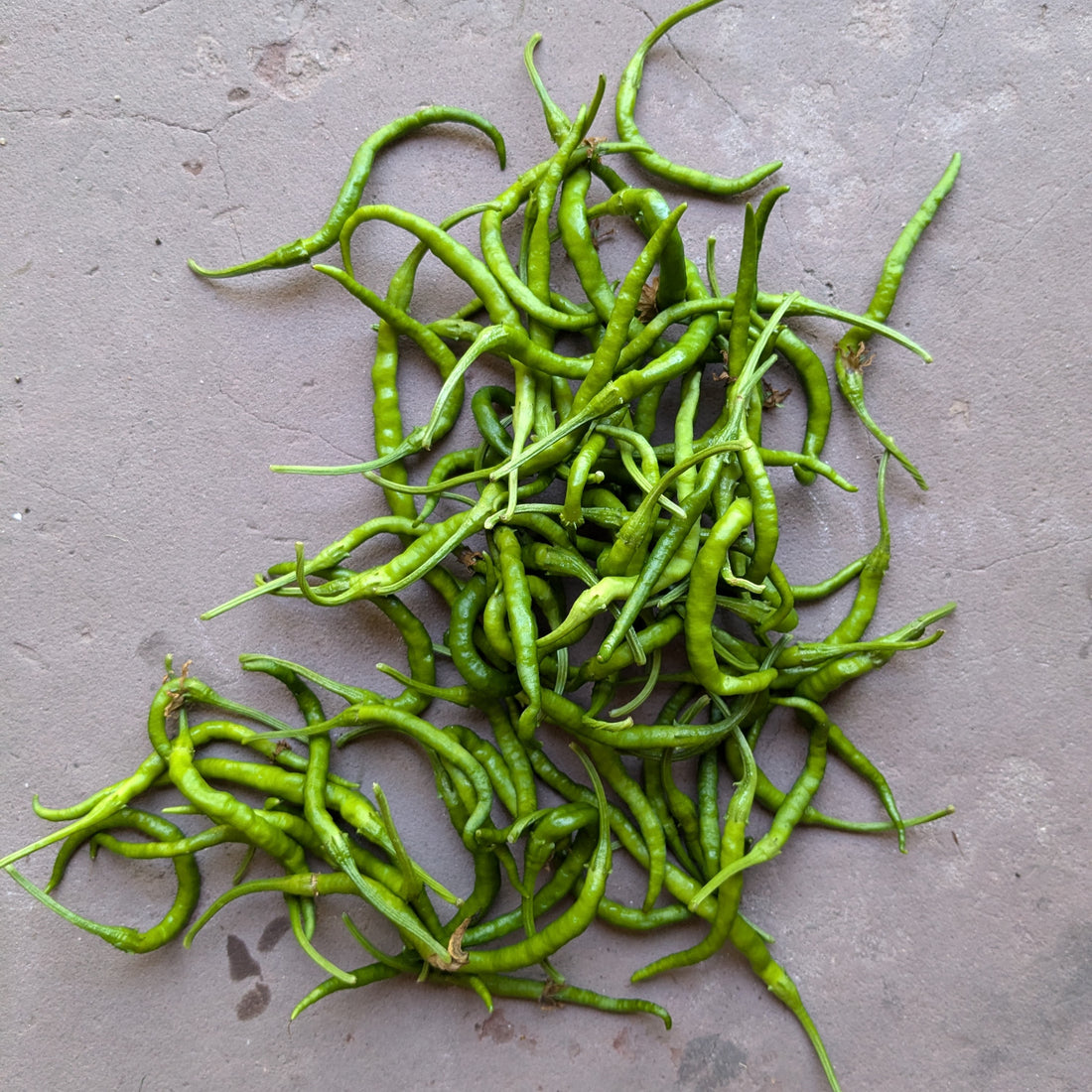 Himo Togarashi peppers 150g