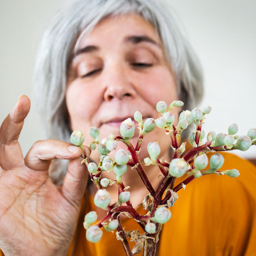 Open Day indigenous flavours | Loubie Rusch | 27 Sept | 10:15 - 11:15