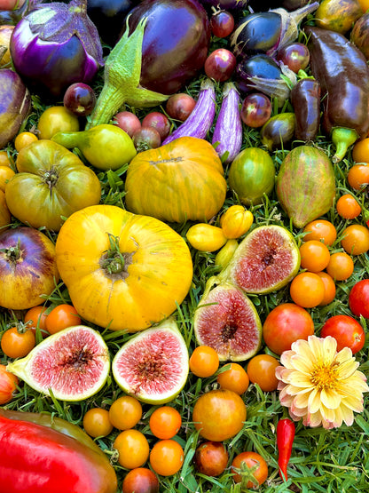 Open Day Suburban Home Gardening Workshop | 17 October | 9:30am