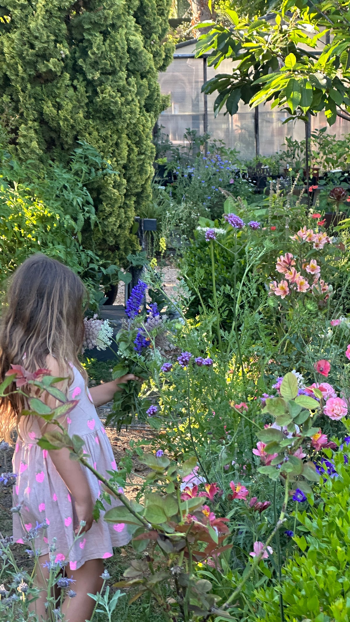 Open Day Suburban Home Gardening Workshop | 17 October | 9:30am