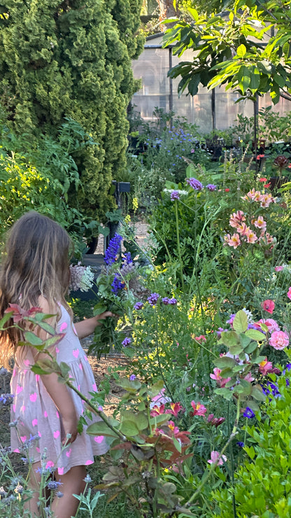 Open Day Suburban Home Gardening Workshop | 17 October | 9:30am