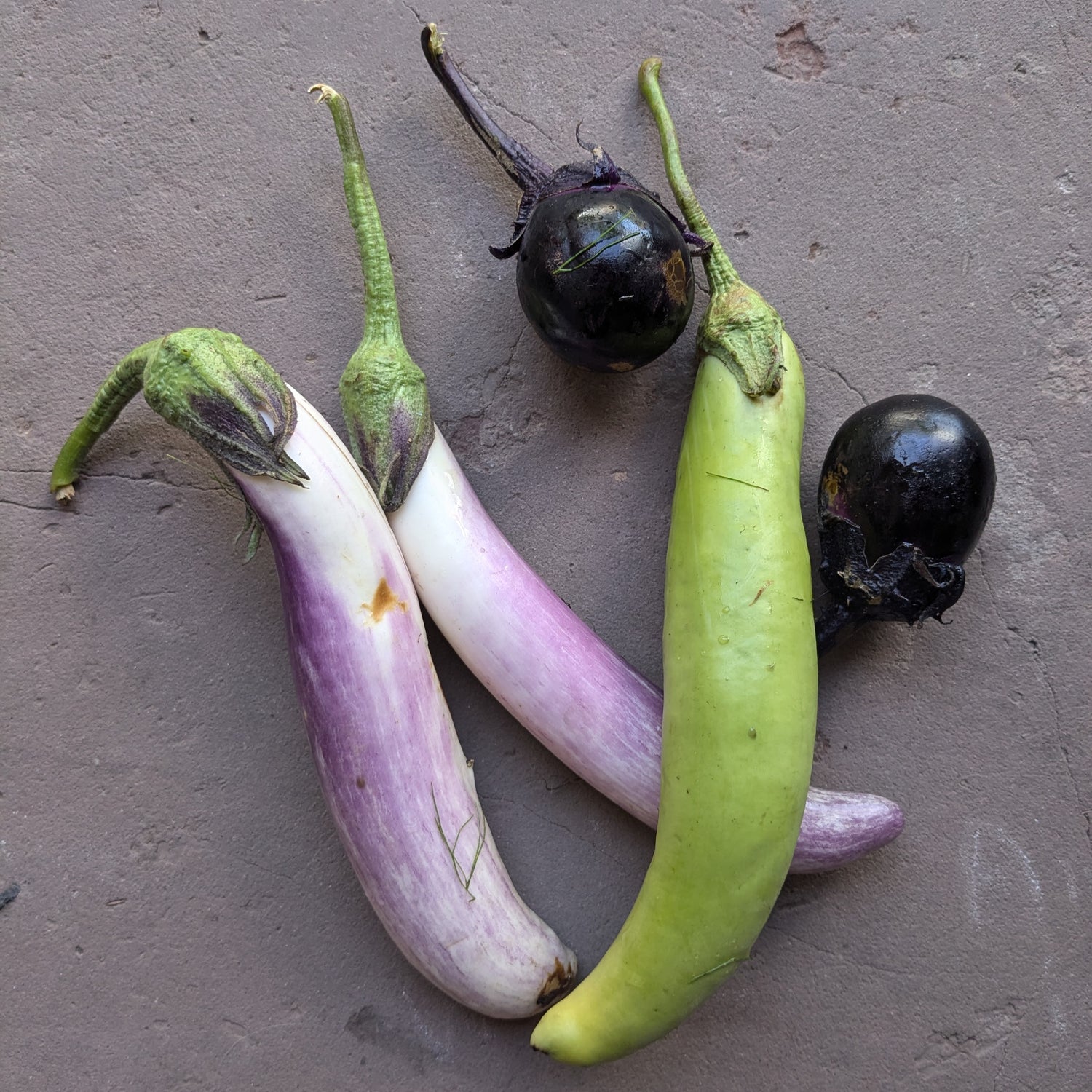 Mixed Eggplant 400g