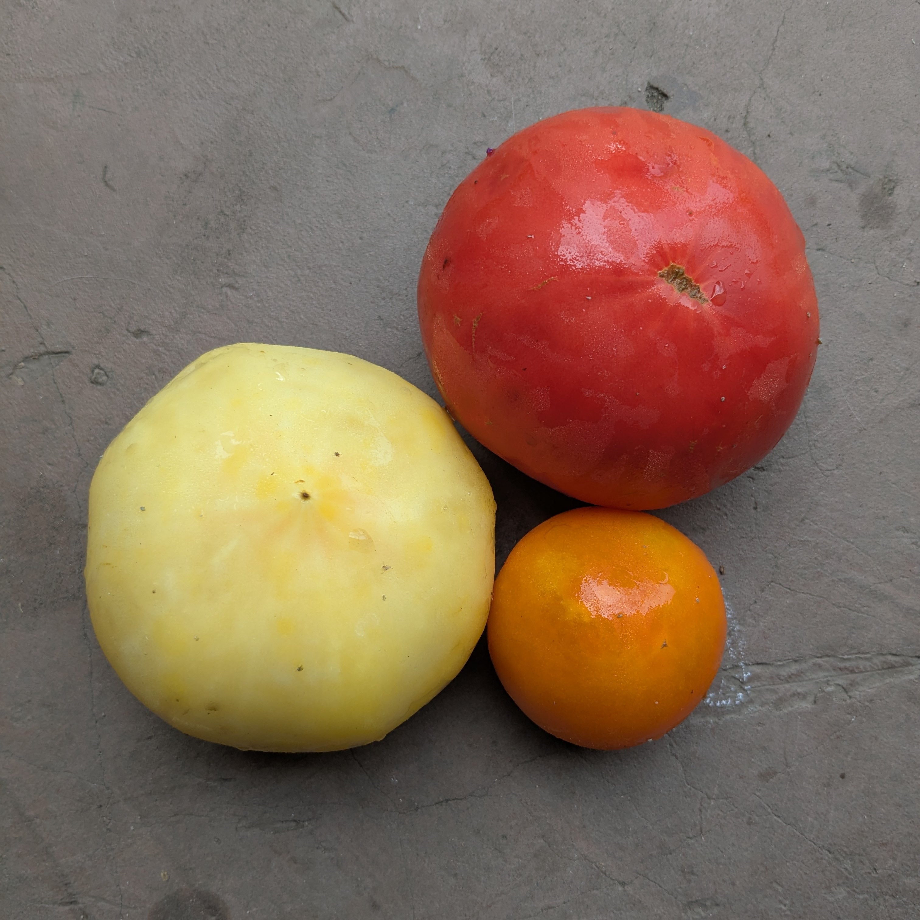 Heirloom tomatoes 750g