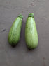 Mexicana squash