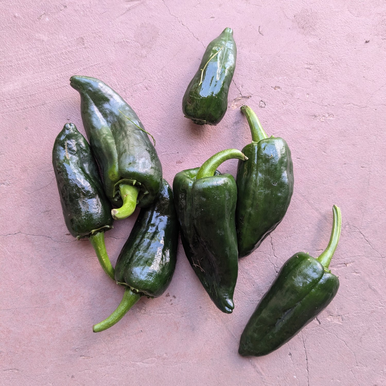 Poblano peppers 150g