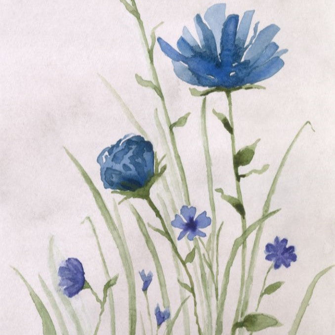 Open Day watercolour workshop with Shabana | 27 Sept | 12:30 - 13:30
