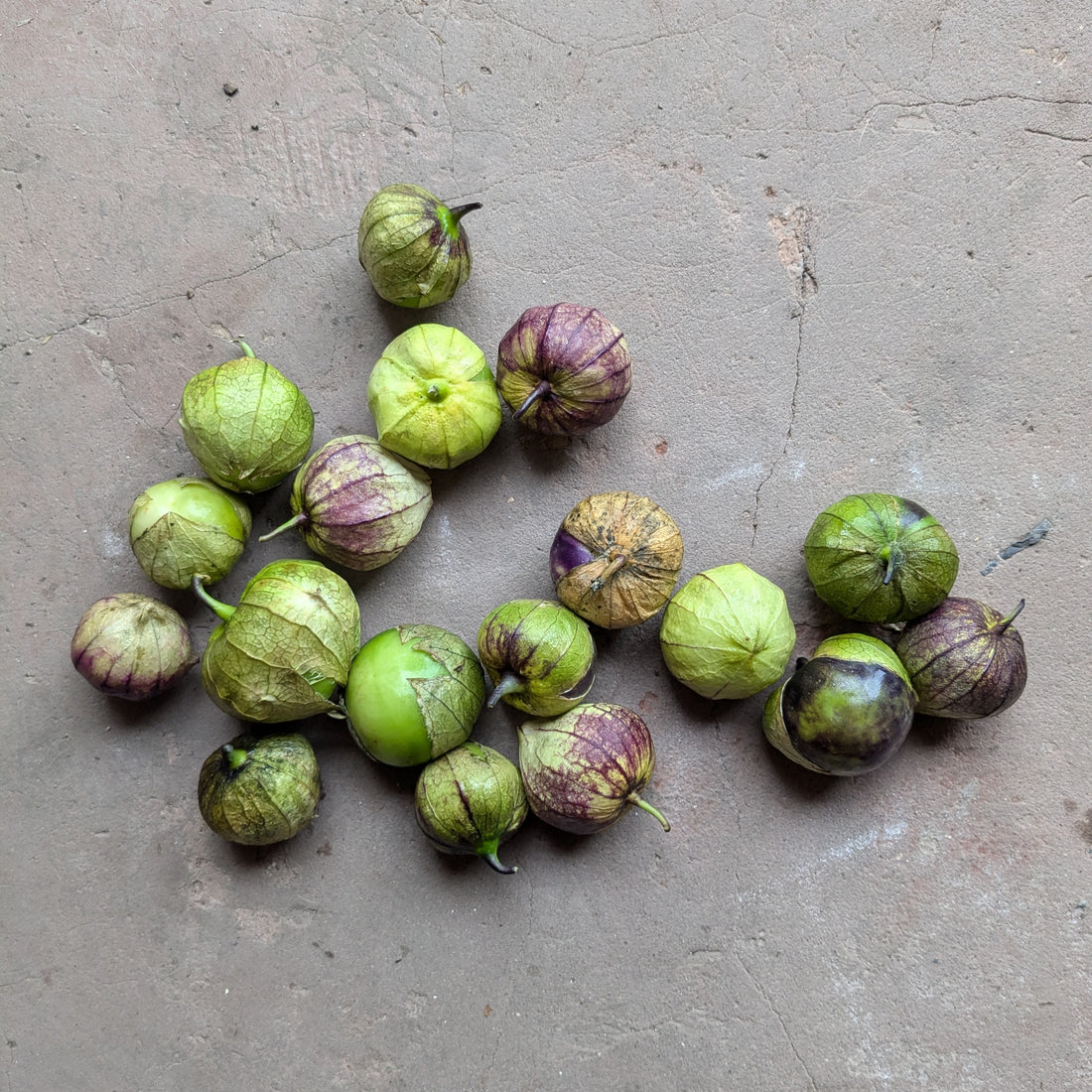 Tomatillo 300g