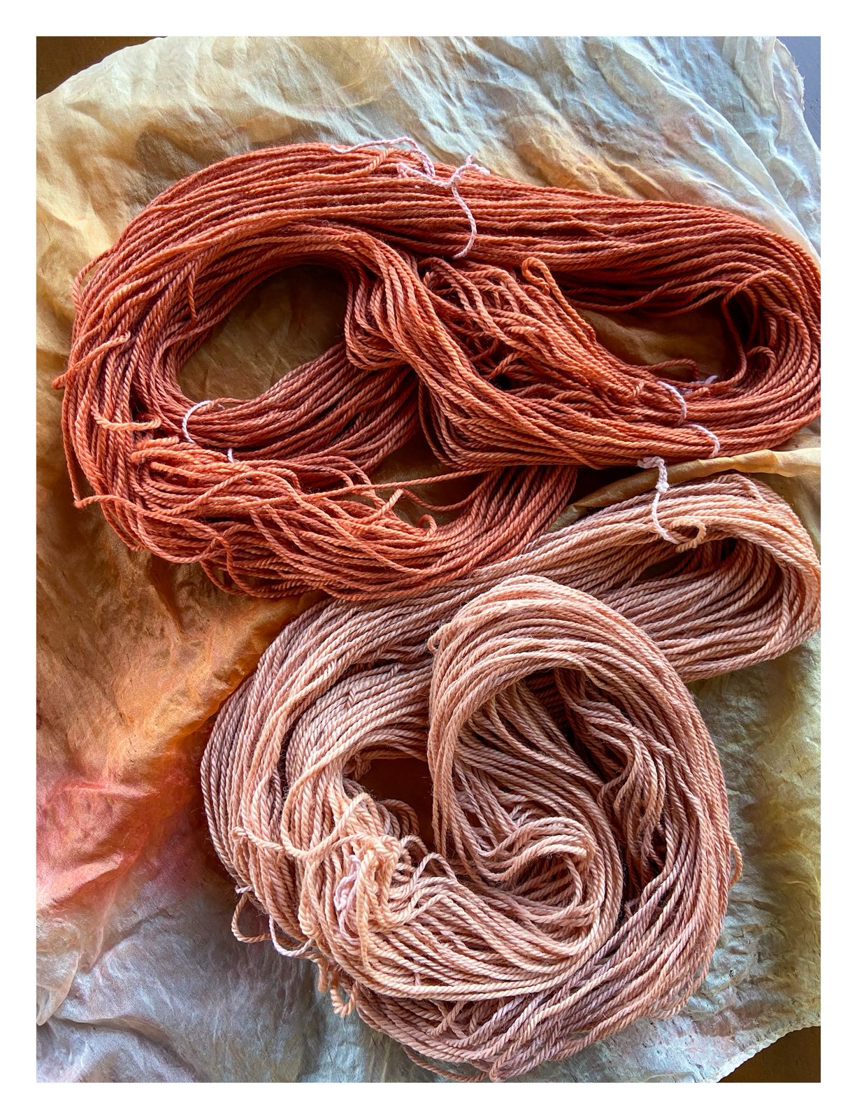 Open Day Natural Dye Workshop | 31 January | 10:15-11:45am