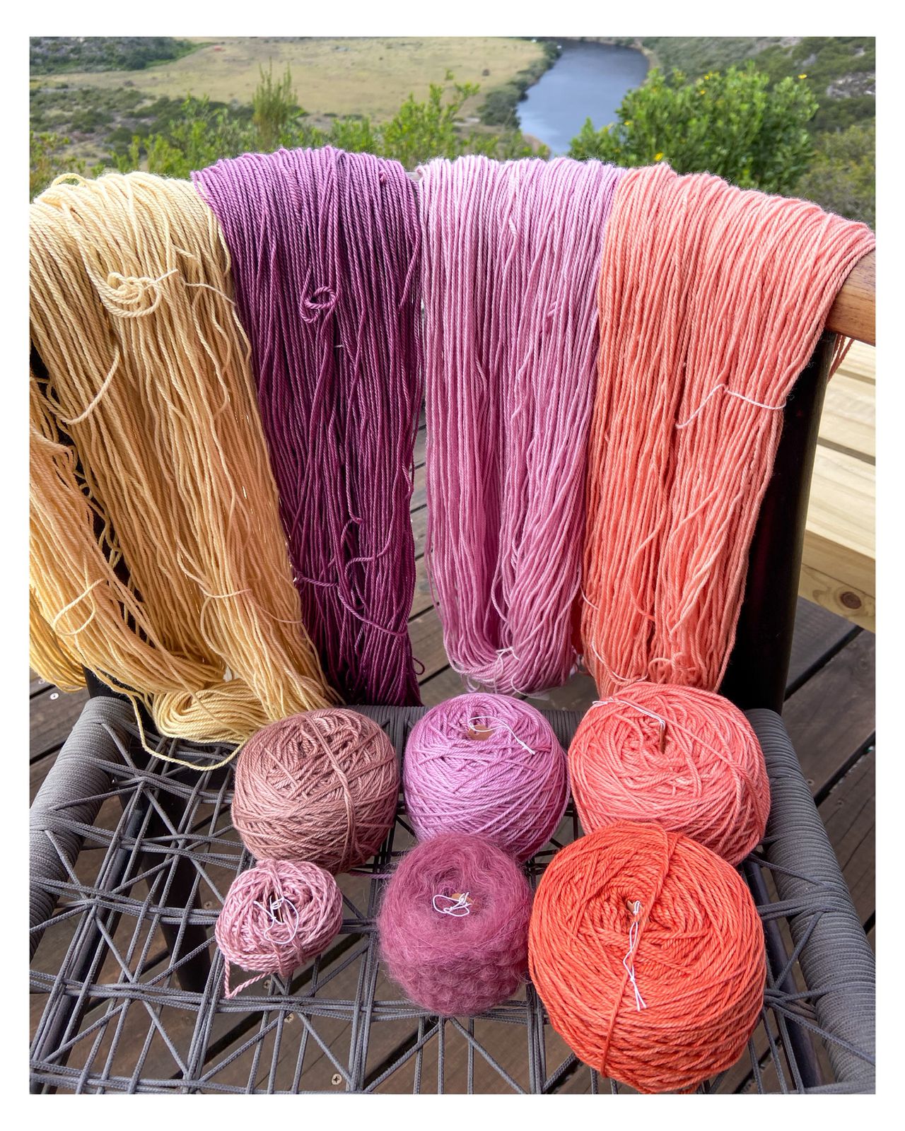 Open Day Natural Dye Workshop | 31 January | 10:15-11:45am