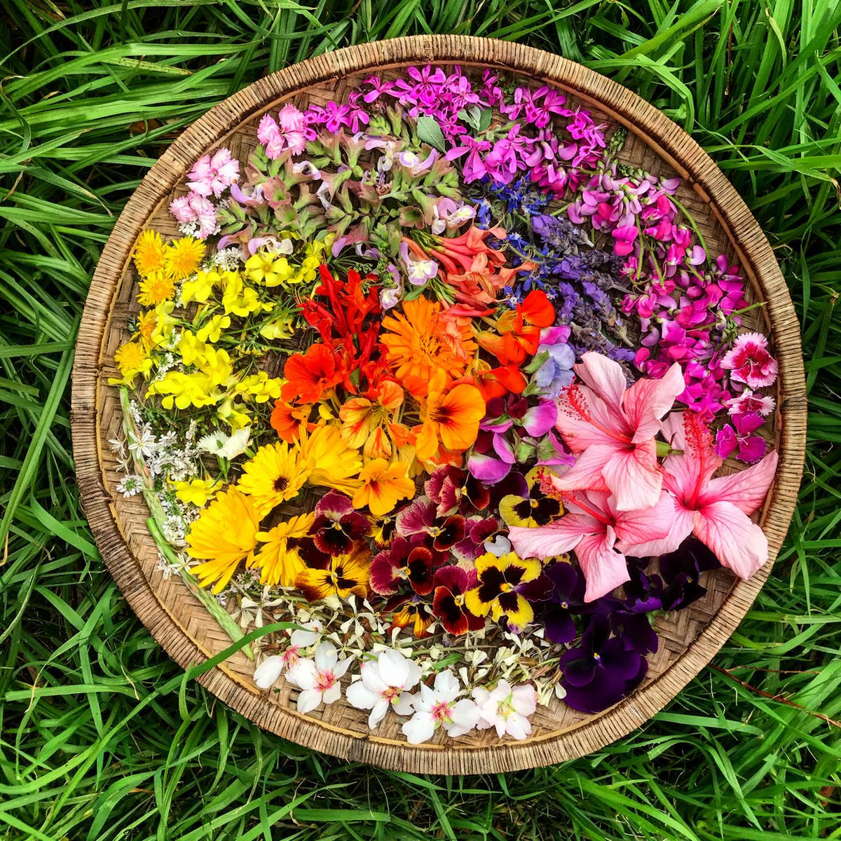 Open Day Fire Cider Workshop with Roshanna of Veld &amp; Sea | 17 October | 12:45pm