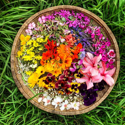 Open Day Fire Cider Workshop with Roshanna of Veld &amp; Sea | 17 October | 12:45pm