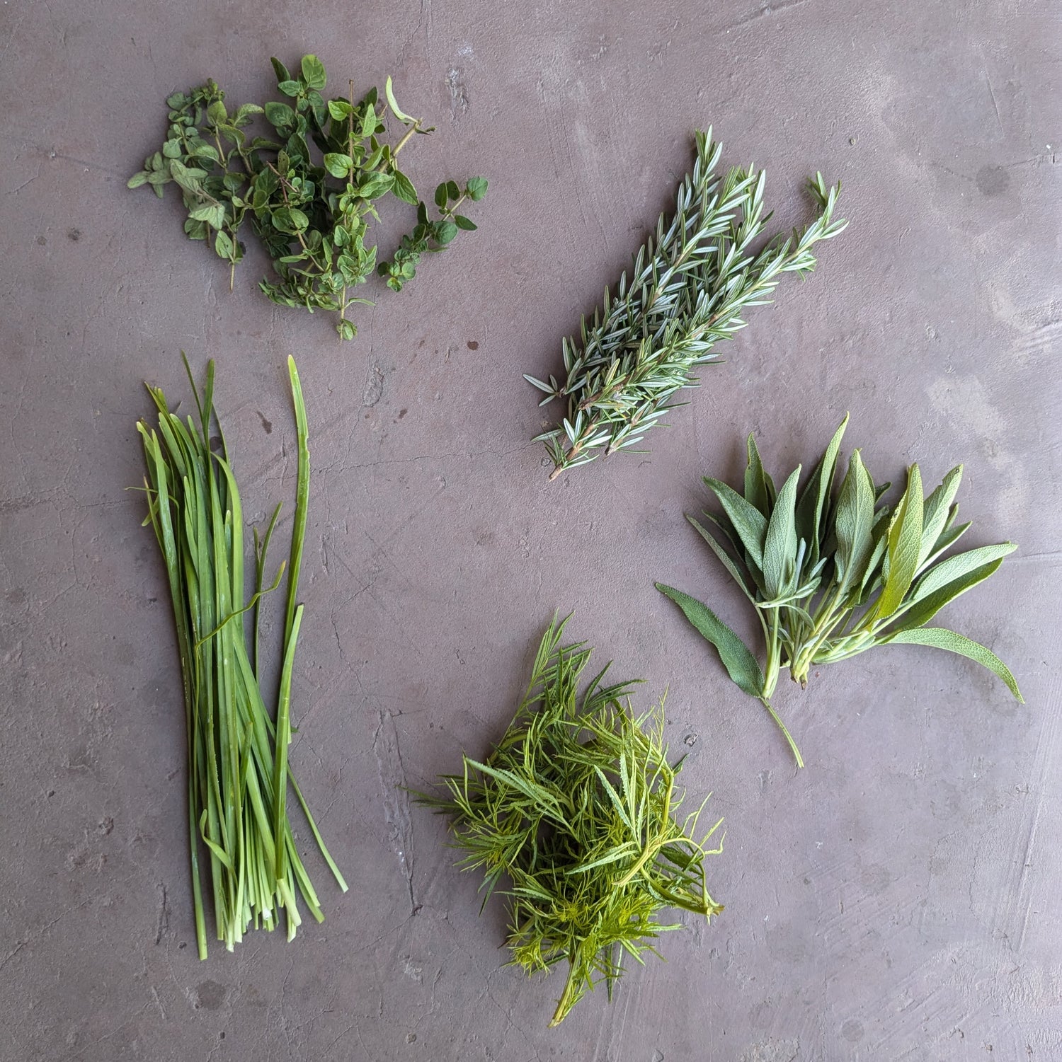 Mixed herbs- sage, rosemary, huacatay, marjoram, chives- 100g