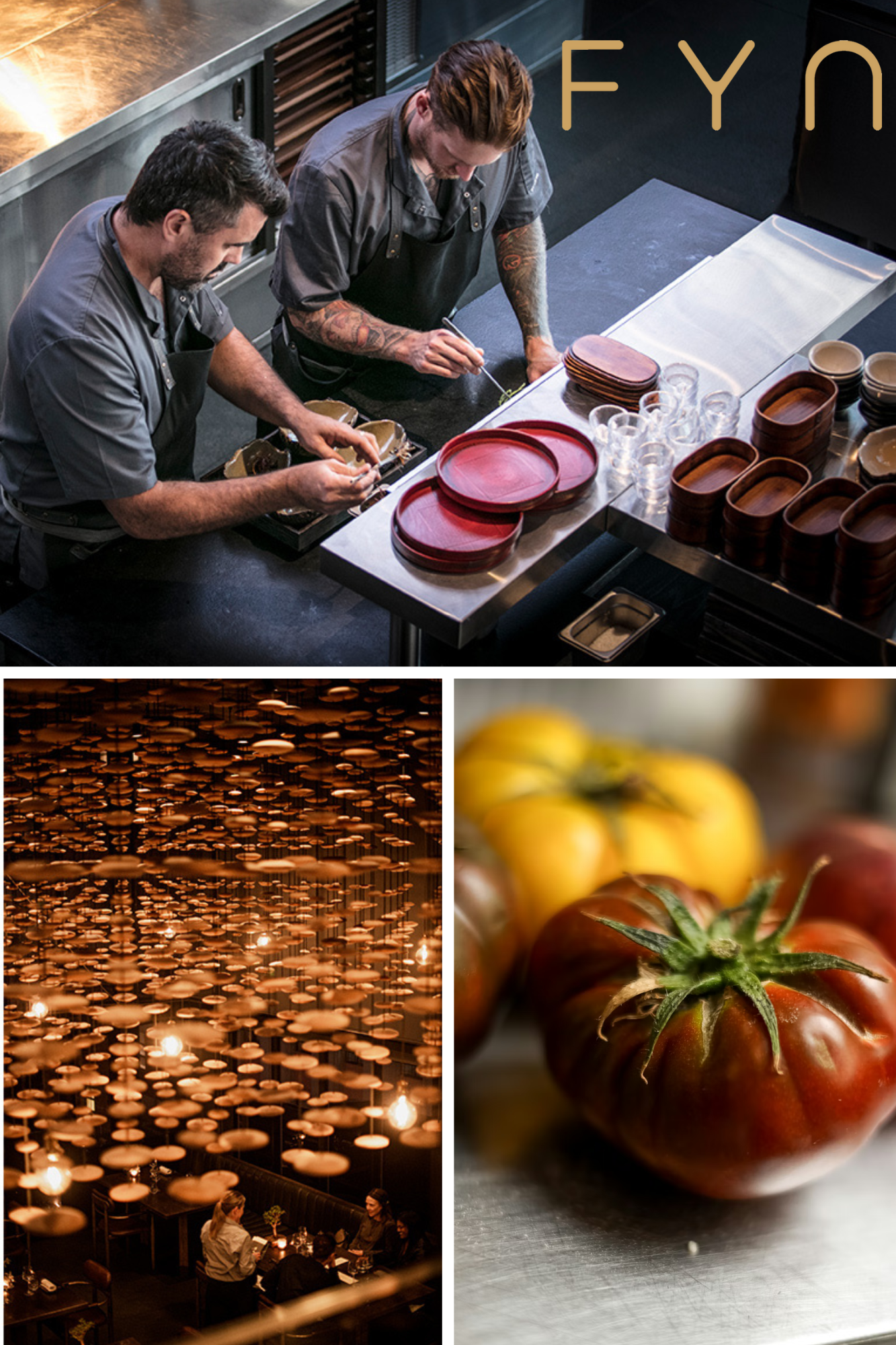 Open Day Cooking Demo with Fyn | 31 January | 12:30-1:45pm