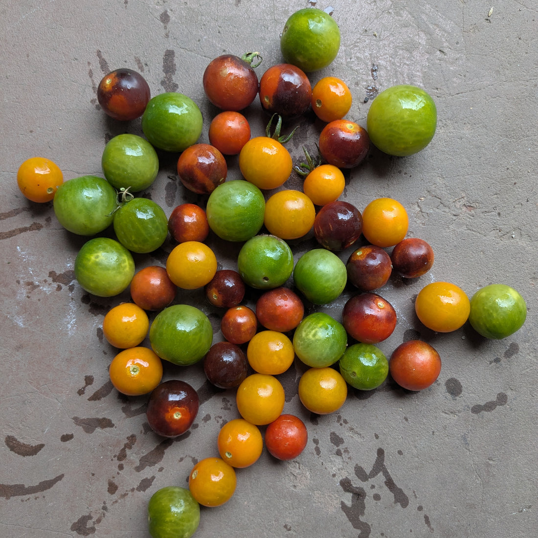 Mixed cherry tomatoes 200g