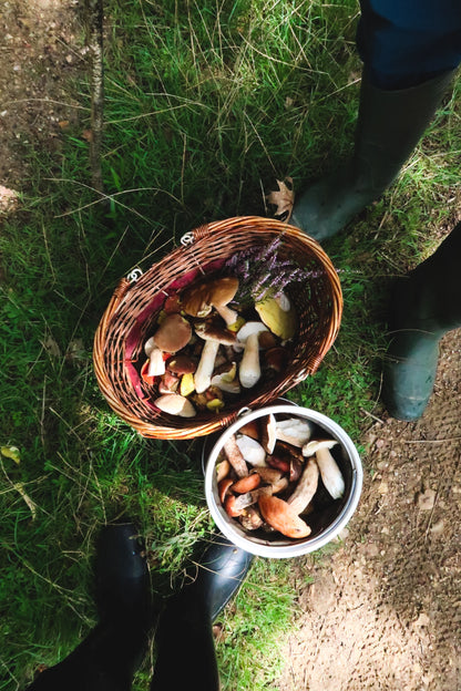 Forage &amp; Feast: Wild Mushroom Workshop at Meuse Farm | Saturday 20 June | 8am - 2pm