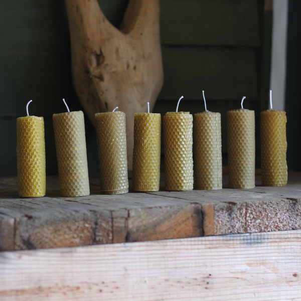 Open Day candle making workshop | Sol Tribe Creations | 29 Nov | 10:15-11:45