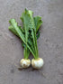 Hakurei Turnips 200g