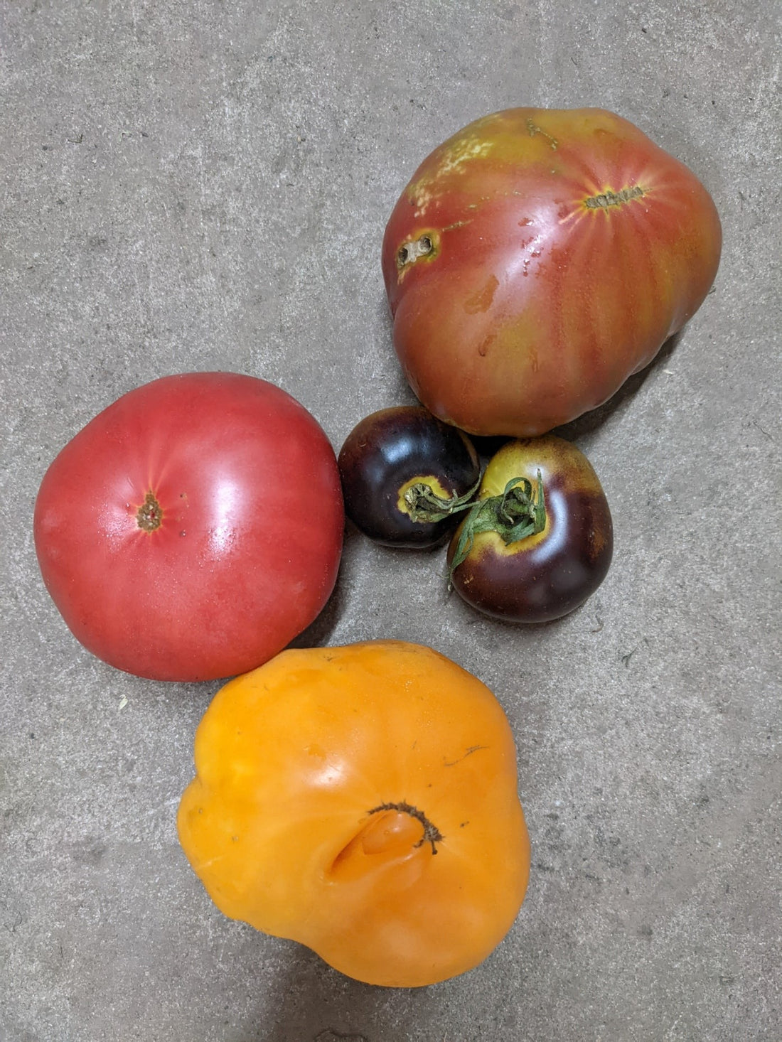 Heirloom tomatoes 500g