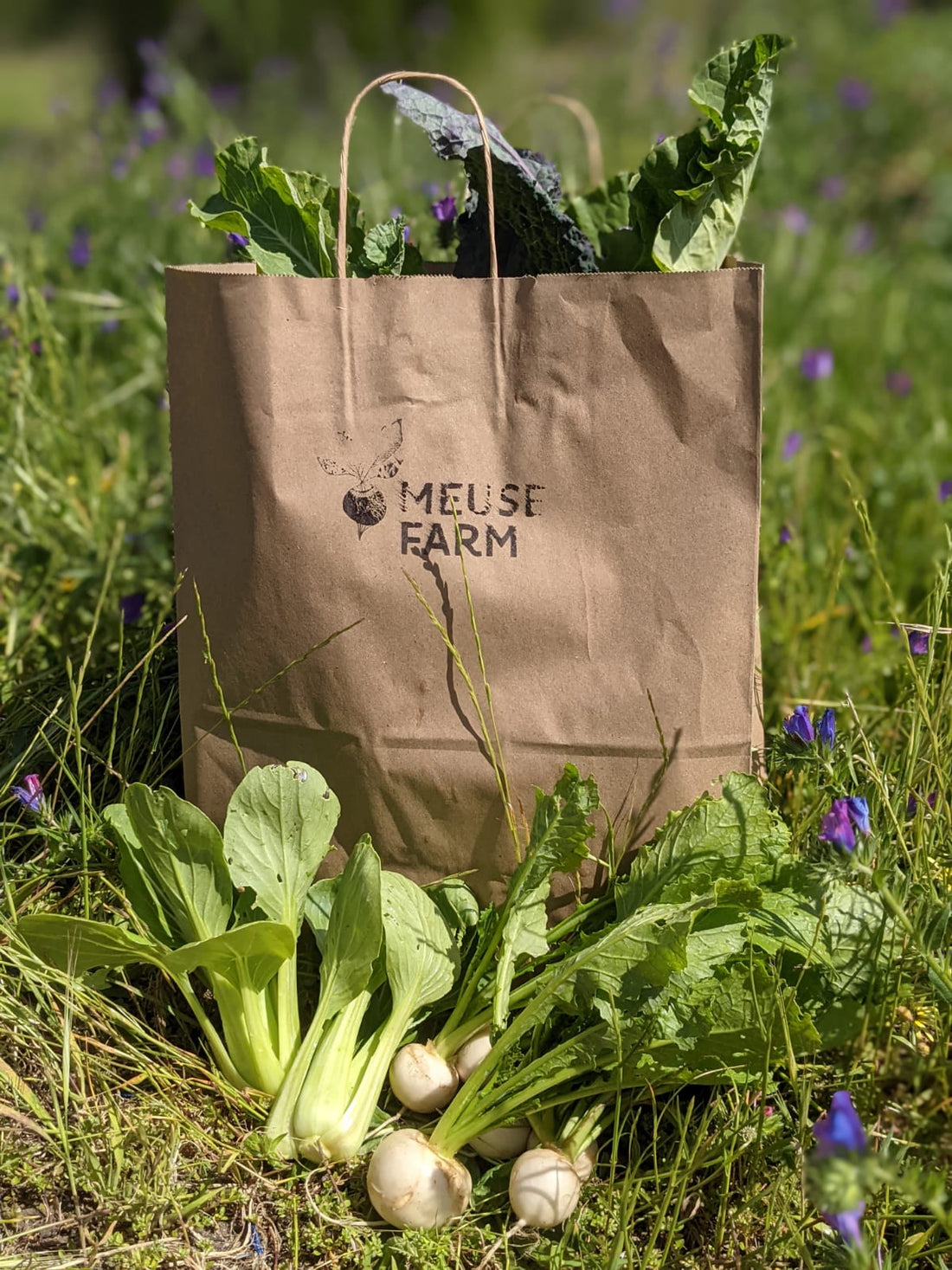 Meuse Farm Veg Box