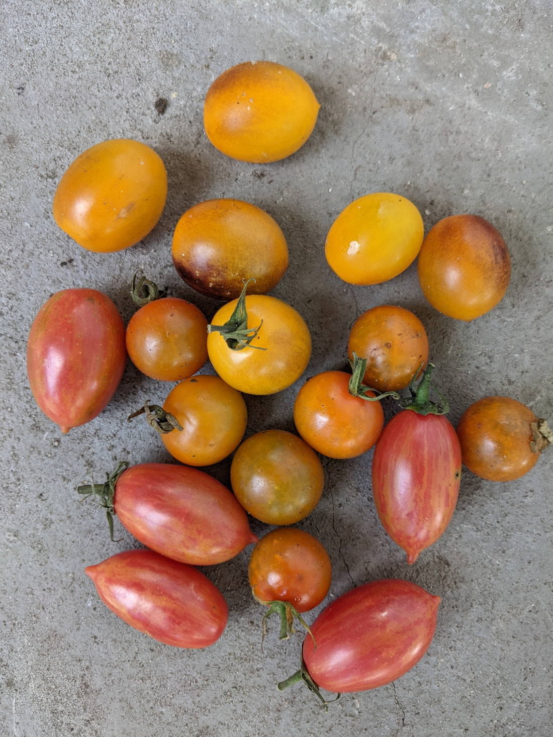 Mixed cherry tomatoes 200g